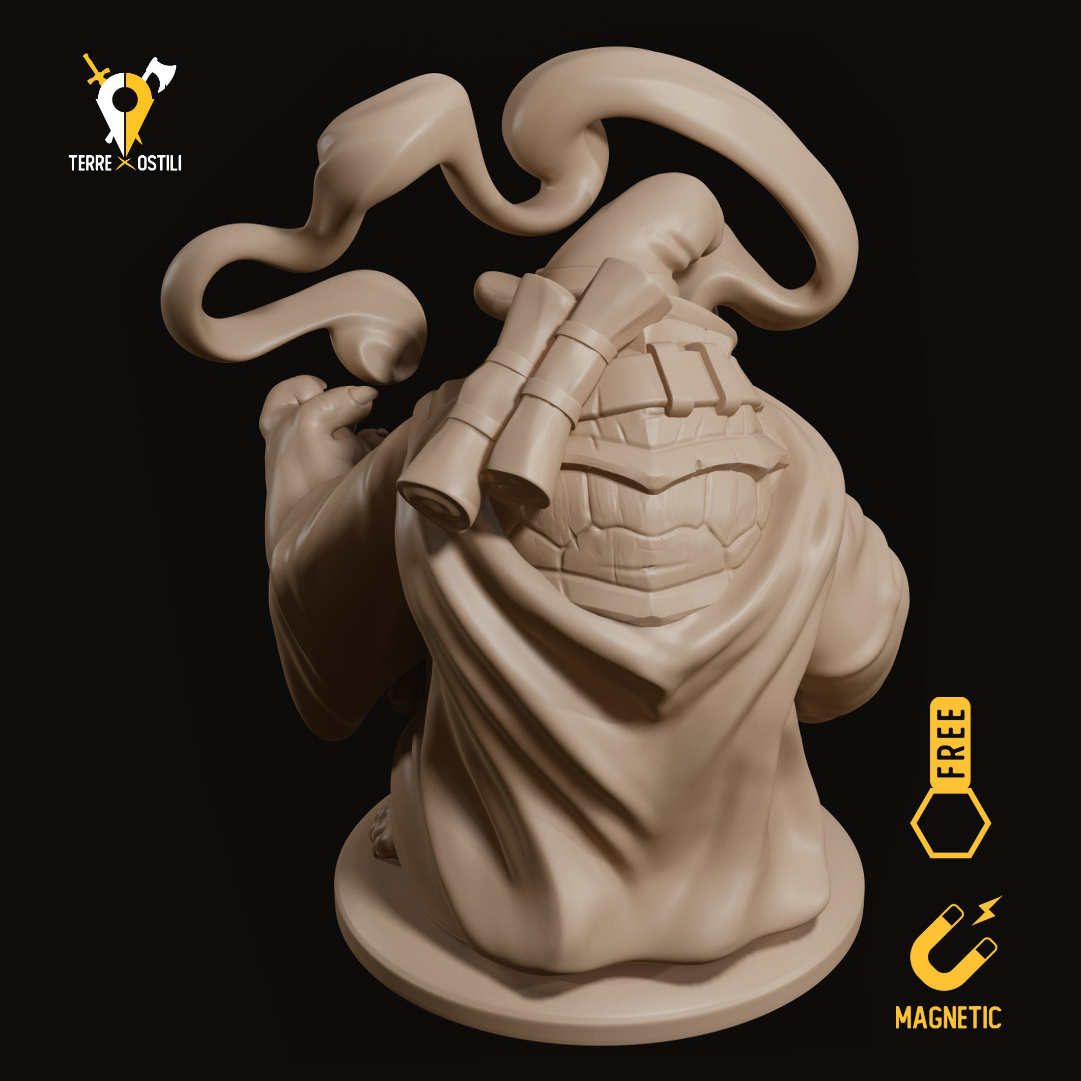 dnd sorcerer miniature