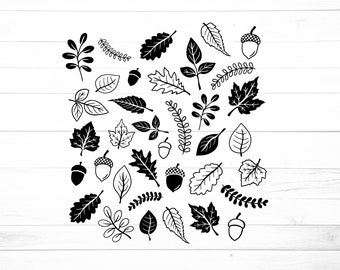 Fall Leaves Svg Bundle, 25 Designs, Fall Svg, Fall Leaf Pattern Svg, Fall Leaves Svg, Leaves SVG, Autumn Svg, Svg files for Cricut