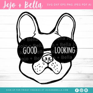 Good Looking French Bulldog SVG - Svg, Dxf, Eps, Jpeg, Png, Ai, Pdf, Cut File, Französische Bulldogge SVG, Bulldogge SVG Datei, Hund Svg, Süßer Hund svg