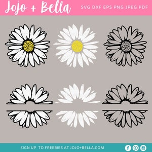 May include: Six different variations of a daisy flower design. The designs are in black and white, with some having a yellow centre. The designs are split in half, with a space in the middle for text.