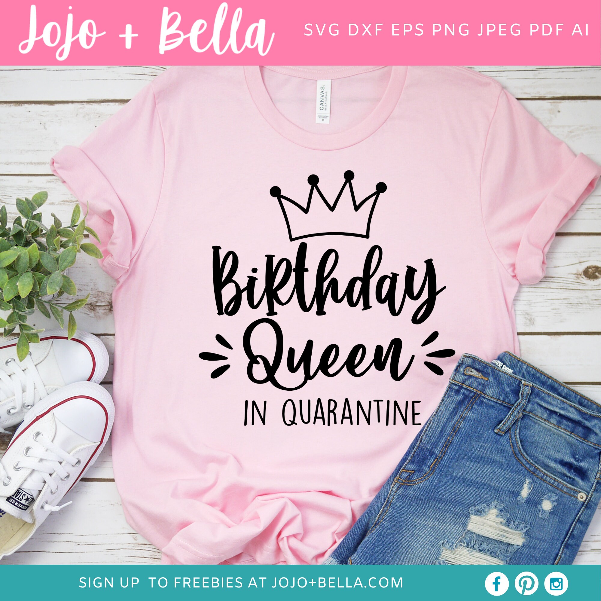 Birthday Queen In Quarantine 2020 Svg 2020 Birthday Svg | Etsy