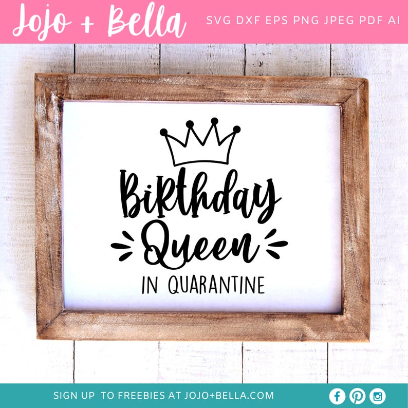 Download Birthday Queen In Quarantine 2020 Svg 2020 Birthday Svg | Etsy