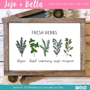 Fresh Herbs Svg, Farmhouse Kitchen Sign, Jardinage SVG, Herbes SVG, Home Cut File, Vinyl Cut File, Wood Sign Stencil, Kitchen SVG, Silhouette