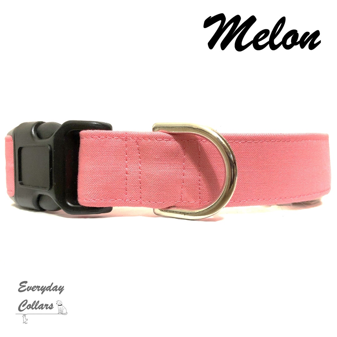 MELON Dog Collar Cat Collar Pink Dog Collar Pink Cat Collar Everyday