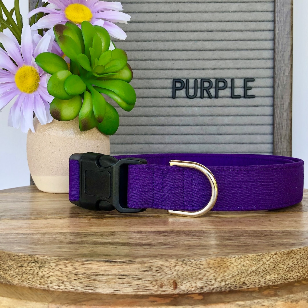 PURPLE Dog Collar Cat Collar Purple Dog Collar Purple Etsy