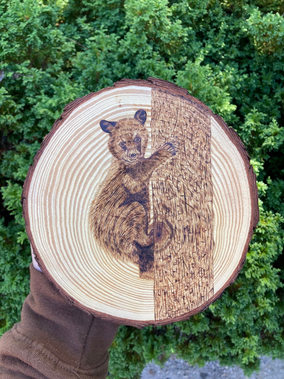 Bear Wood Art, Wood Burning Art, Wood Wall Art, Animal Art, Pyrography