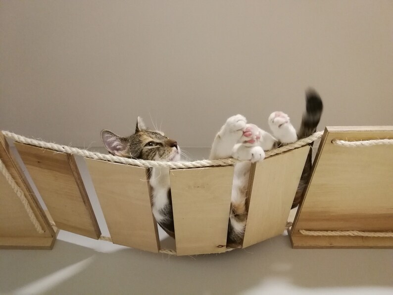 Cat Rope Bridge With Shelves Fluff off Cats Paradise Etsy