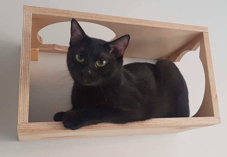 Go Through Cat Wall Hanging Box With Two Holes Fluff off Cat Etsy