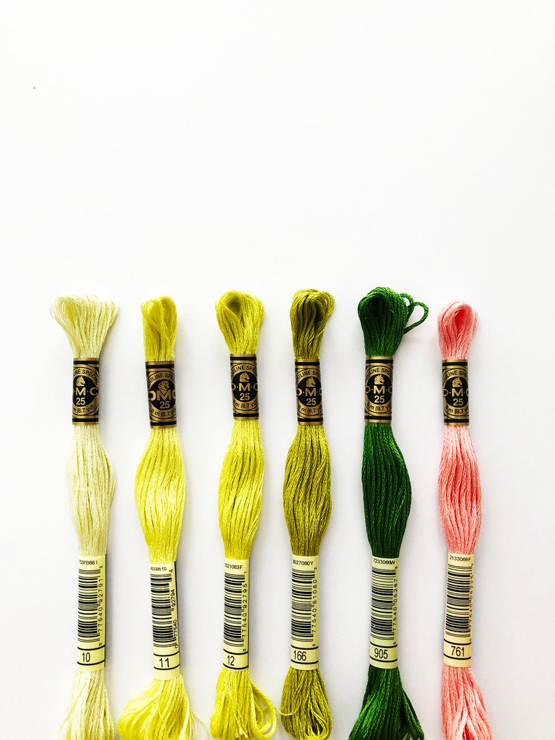DMC 6 Strand Embroidery Thread, MOJITO, Embroidery Floss, Colour ...