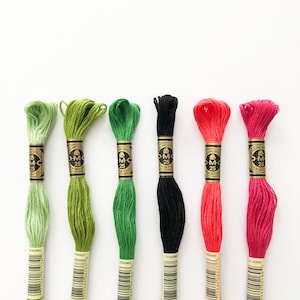 DMC 6 strand embroidery thread, WATERMELON, embroidery floss,  colour palette pack, embroidery supplies, cotton embroidery thread