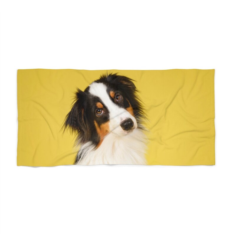 May include: A rectangular beach towel featuring a portrait of an Australian Shepherd dog with black, white, and tan fur against a solid, vibrant yellow background. The dog has a white blaze on its face and dark, expressive eyes looking forward.