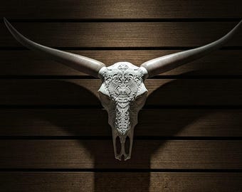 Steer horns 2'5" - 2'11" mounted LONGHORN BULL cow cattle horns (1 only)