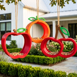 Bird Feeders | Fruit Collection | Apple, Orange, Cherries