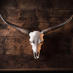 May include: A white animal skull featuring intricate, symmetrical carved patterns across the forehead and nasal area. The skull is equipped with two long, curved, dark brown horns that extend outwards from the sides, creating a wide, horizontal span.