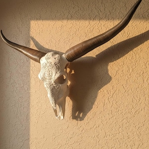 May include: A wall-mounted animal skull featuring long, curved, dark brown horns and an off-white bone surface. The skull is intricately carved with symmetrical, detailed patterns covering the forehead and nasal area, creating a textured appearance.