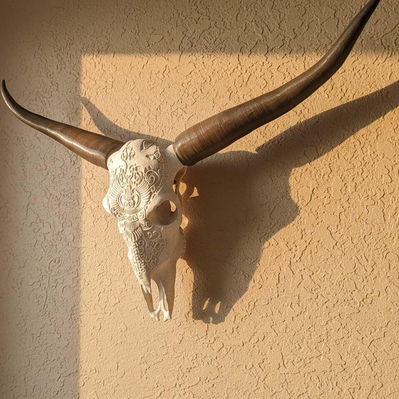 May include: A wall-mounted animal skull featuring long, curved, dark brown horns and an off-white bone surface. The skull is intricately carved with symmetrical, detailed patterns covering the forehead and nasal area, creating a textured appearance.