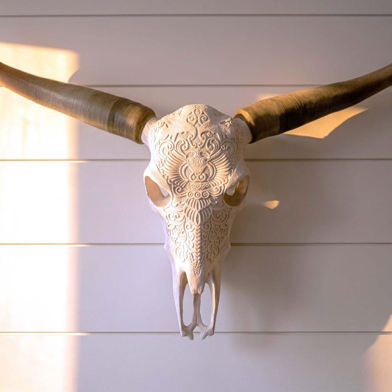 May include: A white animal skull featuring intricate, symmetrical carved patterns across the forehead and snout. The skull has two long, curved, light brown horns extending outwards from the sides, creating a wide, horizontal silhouette.
