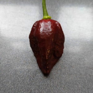 May include: A dark red chili pepper with a green stem. The pepper has a glossy, smooth surface.