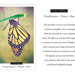 Puede incluir: Una mariposa amarilla y negra con las alas extendidas, emergiendo de una cris&aacute;lida. La mariposa est&aacute; en un tallo verde. El texto "the BUTTERFLY Transformation :: Beauty :: Hope" est&aacute; en la parte inferior de la imagen.