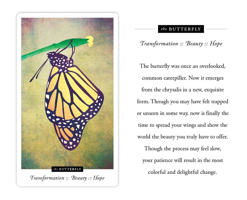 Puede incluir: Una mariposa amarilla y negra con las alas extendidas, emergiendo de una cris&aacute;lida. La mariposa est&aacute; en un tallo verde. El texto "the BUTTERFLY Transformation :: Beauty :: Hope" est&aacute; en la parte inferior de la imagen.