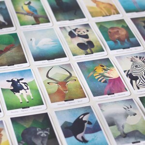 Puede incluir: Un juego de 20 cartas ilustradas con varios animales e insectos. Cada carta tiene una ilustraci&oacute;n de estilo acuarela y un texto que describe las caracter&iacute;sticas del animal. Las cartas est&aacute;n impresas en cartulina blanca gruesa.