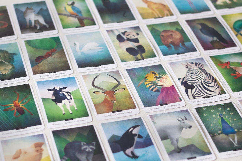 Puede incluir: Un juego de 20 cartas ilustradas con varios animales e insectos. Cada carta tiene una ilustraci&oacute;n de estilo acuarela y un texto que describe las caracter&iacute;sticas del animal. Las cartas est&aacute;n impresas en cartulina blanca gruesa.