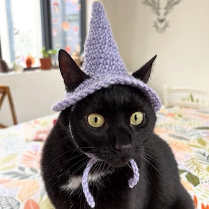 Peut inclure: Un chat noir portant un chapeau de sorcière en crochet violet clair avec une mentonnière assortie. Le chat a des yeux jaune-vert vifs et une petite tache de fourrure blanche sur la poitrine. Le fond est une couverture à motifs floraux.
