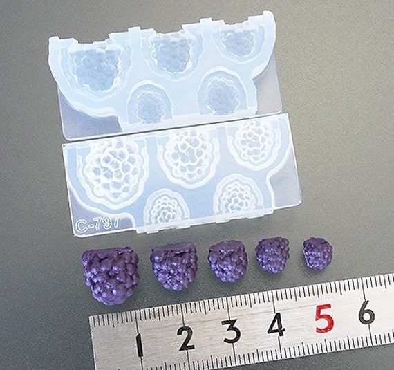 Miniature Mold Dollhouse 3D Raspberry Diy Silicone Soft Mold Etsy