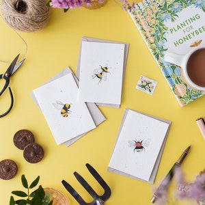 Pflanzliche Samen Grußkarte 3er Set | Biene Grußkarten Set | 100% einheimische britische Wildblumen | Bestäuberfreundlich