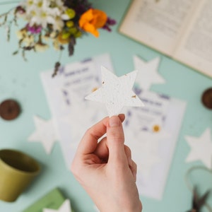 Stelle di carta con semi piantabili / Riempitivo per sacchetti per feste / Bomboniera a forma di stella