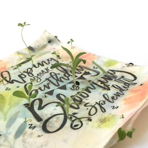 Tarjeta de cumpleaños plantable / Cumpleaños espléndido y floreciente / Apoyo a la fabricación de papel británica