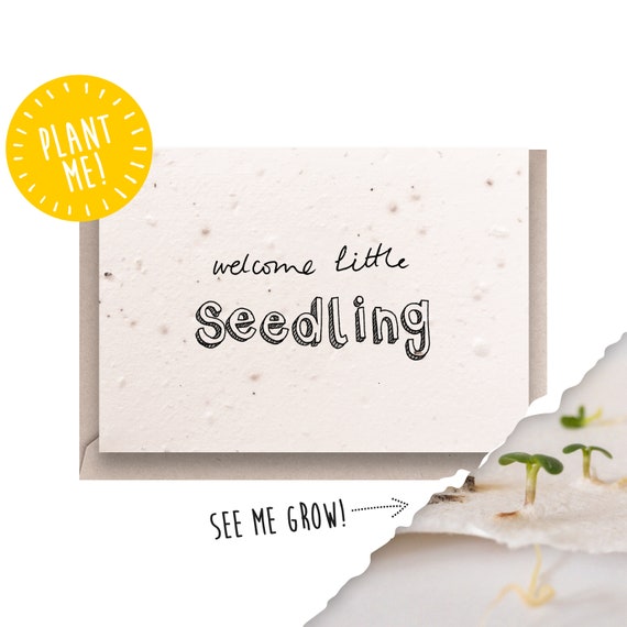 Plantable Seed Card New Baby Welcome Little Seedling Etsy