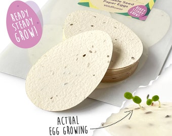 Egg Hunt Plantable Seed Paper Easter Eggs / Easter Gift / Eco-friendly Easter