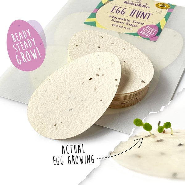 Egg Hunt Plantable Seed Paper Easter Eggs / Easter Gift / Eco-friendly Easter