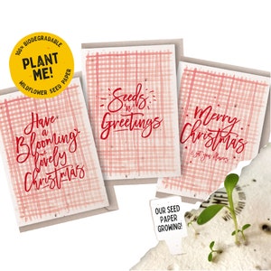 Jeu de cartes de Noël écologiques à planter / Carte de Noël graines / Aquarelle Vichy rouge / Noël écologique / 100 % fleurs sauvages britanniques