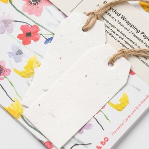 Ruby & Bo Poppy Meadow Recycled Wrapping Paper & Plantable Gift Tag Set