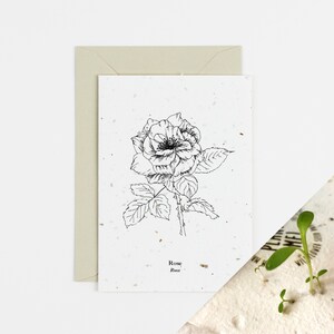 Cartão de aniversário de rosas de junho com flores para plantar | Simboliza romance | Cartão de aniversário de casamento