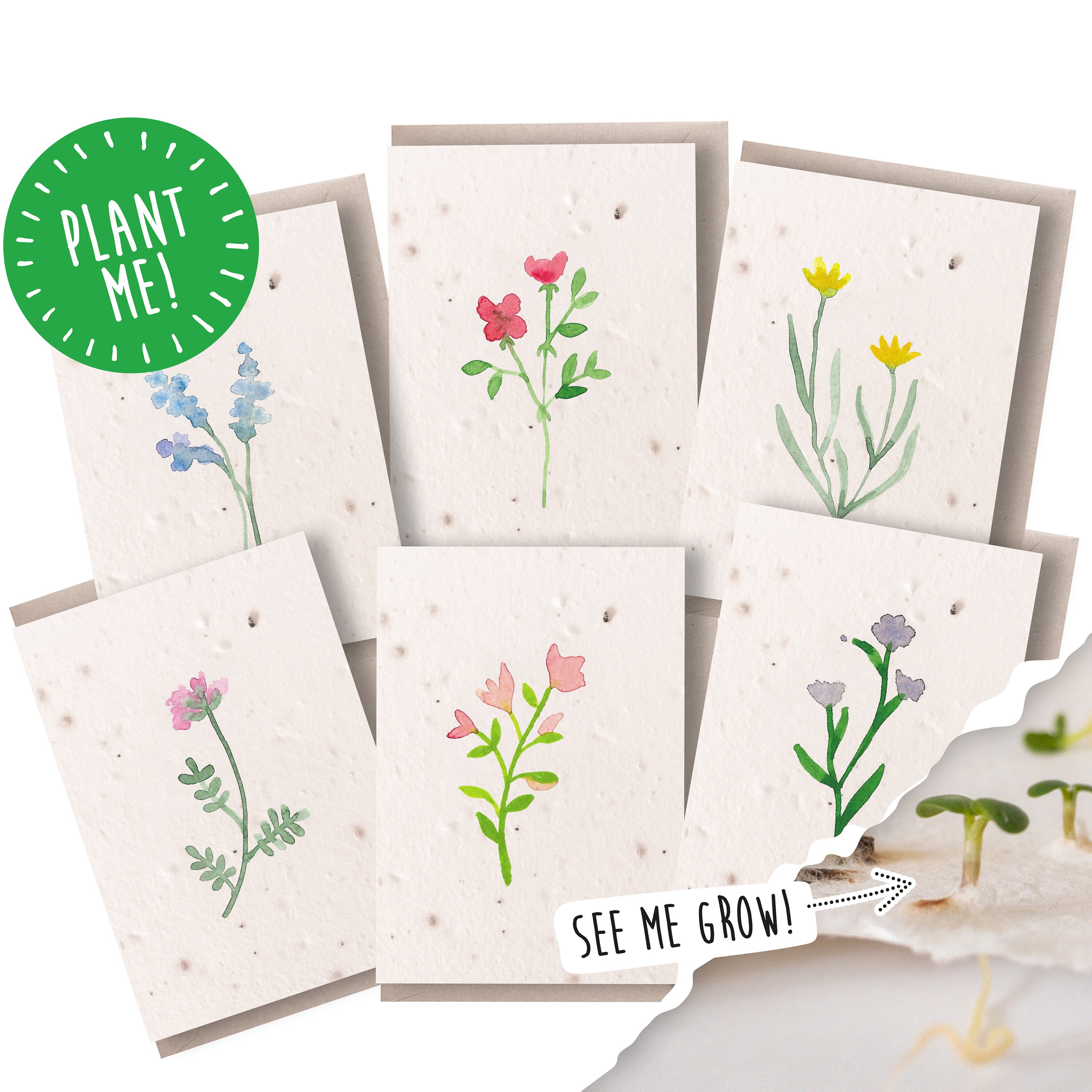 Wildflower Plantable Notecards / Seed Paper Notecard Set / Native Bri…