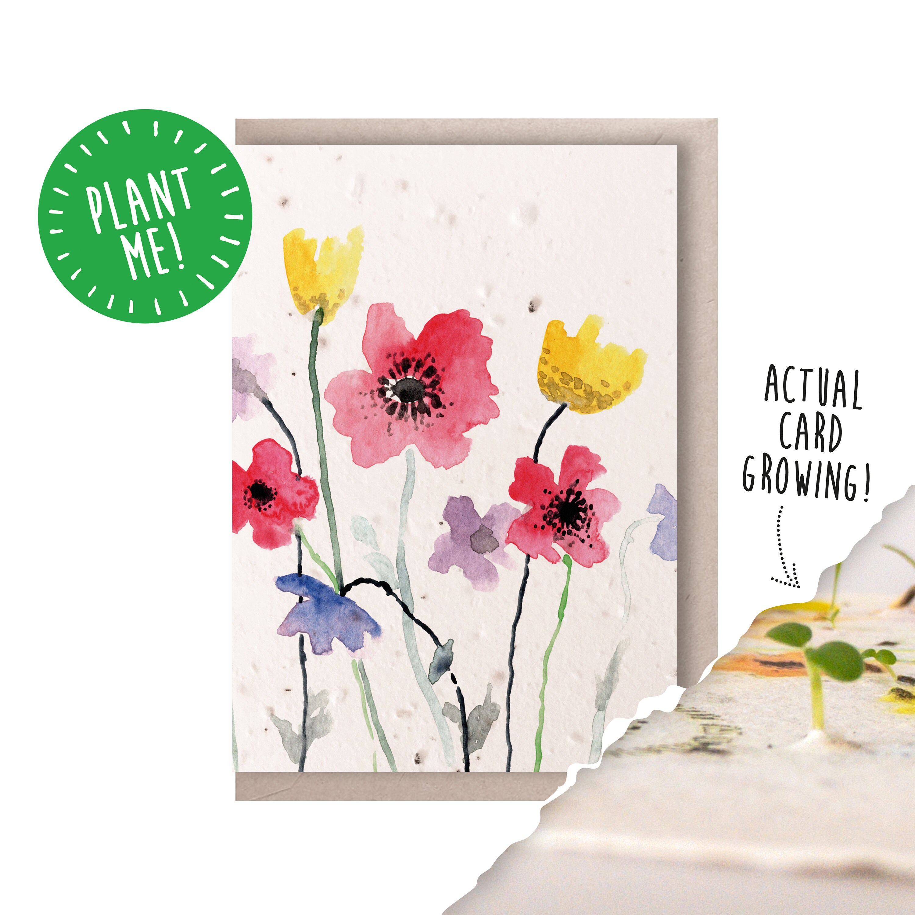 Plantable Seed Card Wildflower Watercolour Etsy
