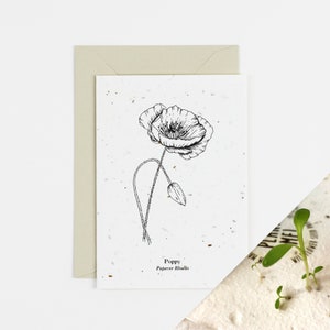 Cartão de flor de nascimento de agosto de papoula para plantar | Simboliza a paz | Cartão de lembrança | Cartão de simpatia