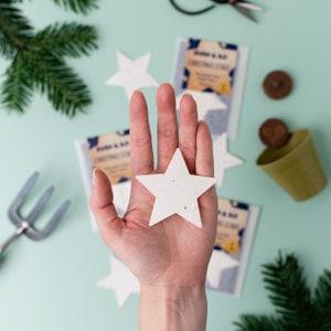 Plantable Christmas Stars, Stocking Filler, Seed Paper Stars
