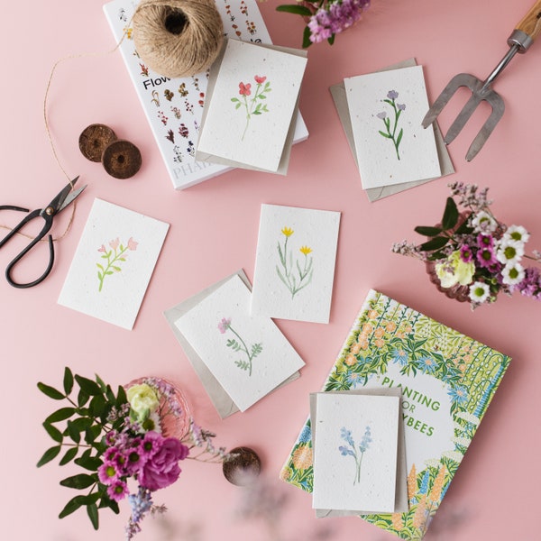 Ensemble de cartes de notes plantables de fleurs sauvages de 6 / Cartes de remerciement de graines / Fleurs sauvages britanniques indigènes / Ensemble de cartes de notes