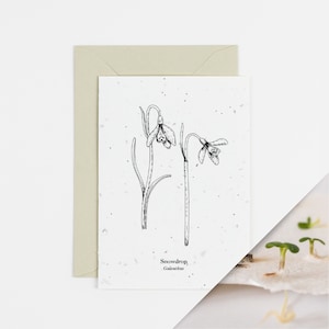 fleur de naissance de janvier de perce-neige | symbolise l'espoir | Bonne chance | Fleurs de naissance