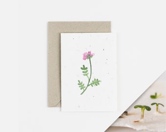 Wildflower Plantable Notecard / Pink Clover Plantable Card / Seed Notecard / 100% Native Wildflowers