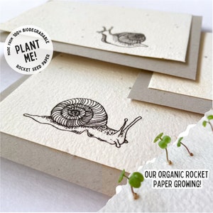 Carte de graines à planter Snail Mail