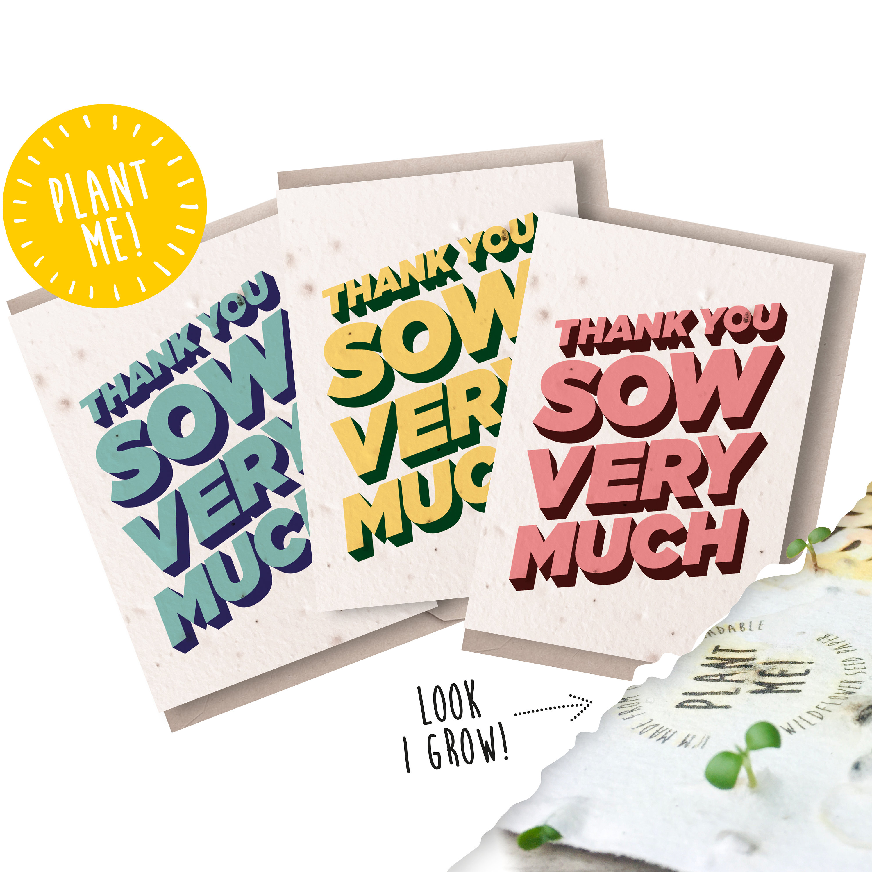 Seed Paper Notecards / Thank You Notecards / Plantable | Etsy
