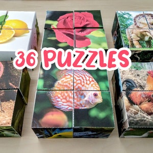 May include: Six 3D puzzles made of cardboard with colorful images on each side. The puzzles feature images of a rose, a fish, a rooster, a lemon, a dinosaur, and an insect.