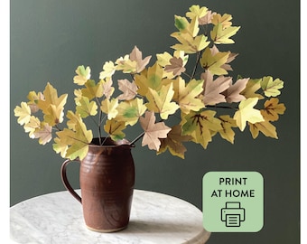 Paper Plant Templates SVG + PDF: Field Maple