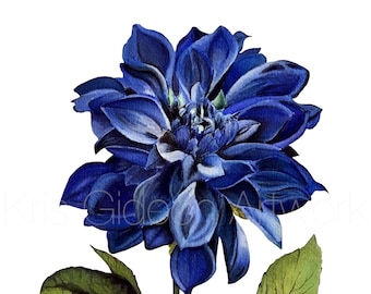 May include: A watercolor painting of a single blue dahlia with green leaves and a stem. The flower is in full bloom and has a delicate, layered appearance. The artist's signature, "Kris Gideon", is visible in the lower right corner.