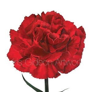 Red Carnation Digital Image Download Watercolor Fine Art Botanical Print, Floral Print, Floral Decor, Wall Art